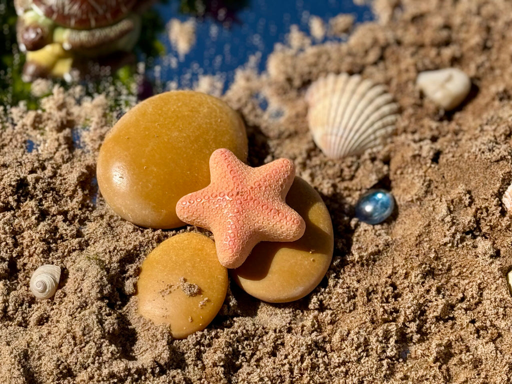 Sensory Play Stones Oceaan leven