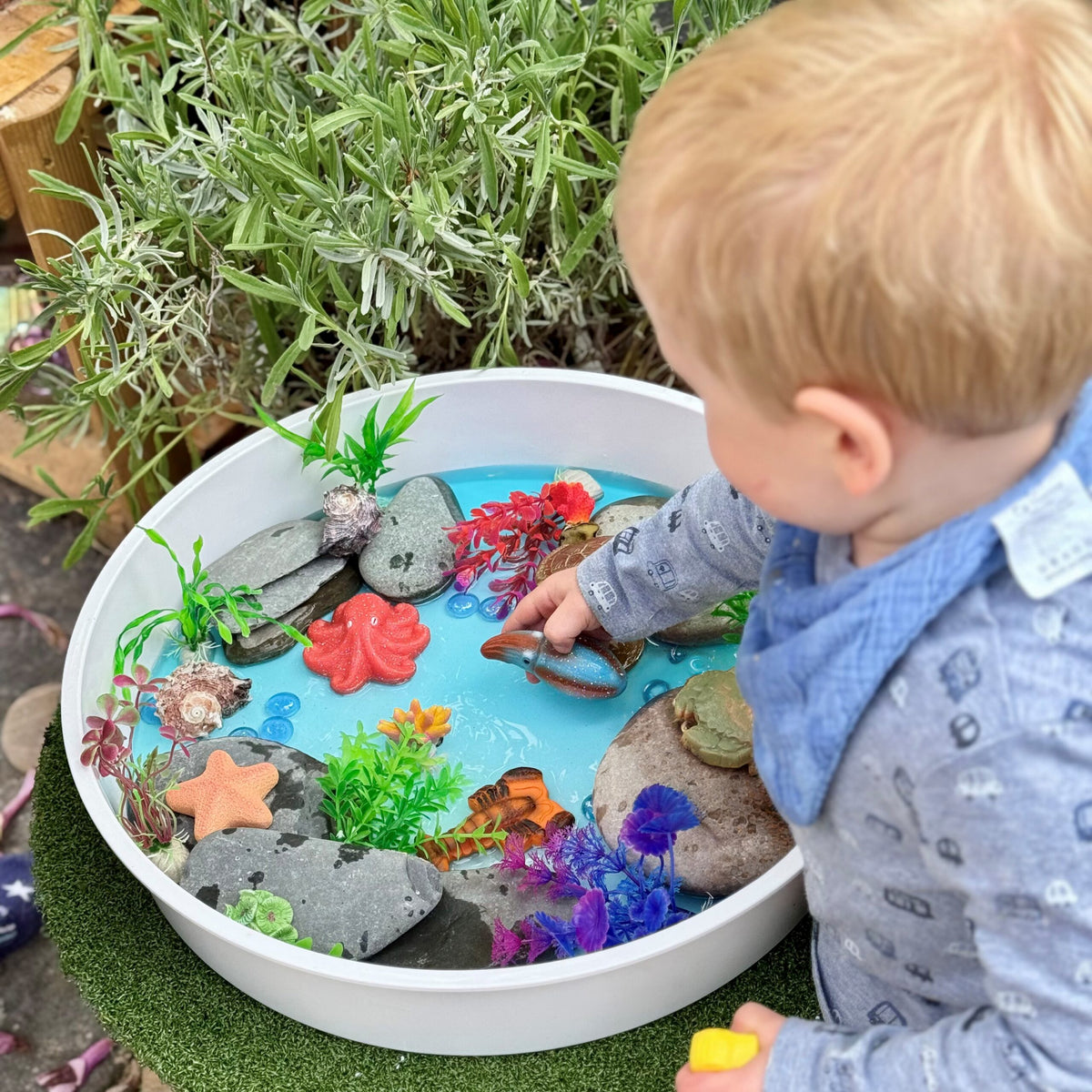 Sensory Play Stones Oceaan leven
