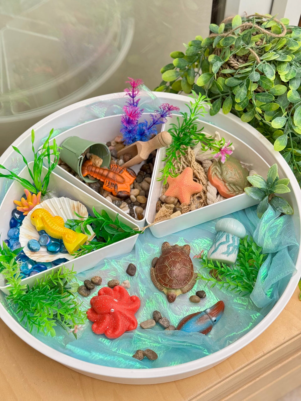 Sensory Play Stones Oceaan leven