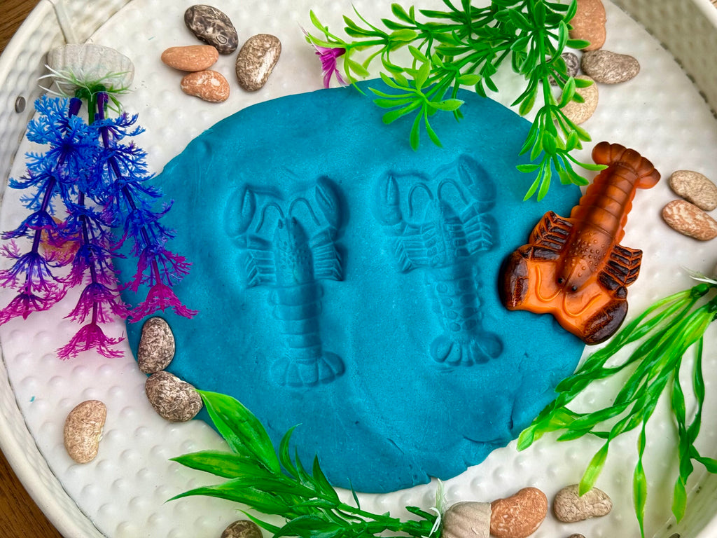 Sensory Play Stones Oceaan leven