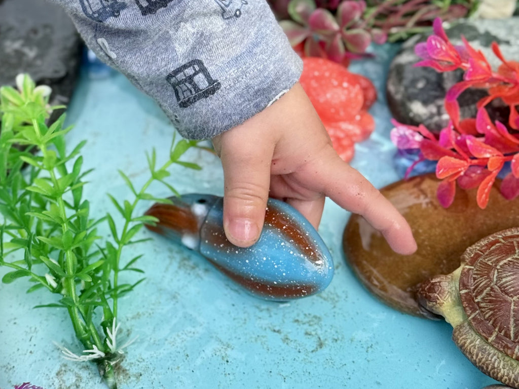 Sensory Play Stones Oceaan leven
