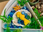Sensory Play Stones Oceaan leven