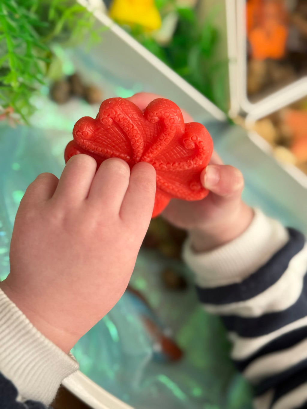 Sensory Play Stones Oceaan leven