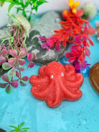 Sensory Play Stones Oceaan leven
