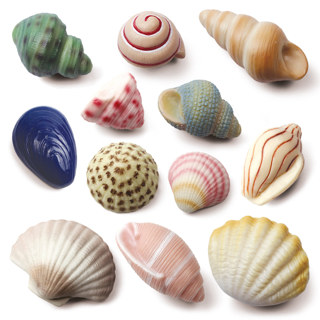 Sensory Play Stones Zeeschelpen