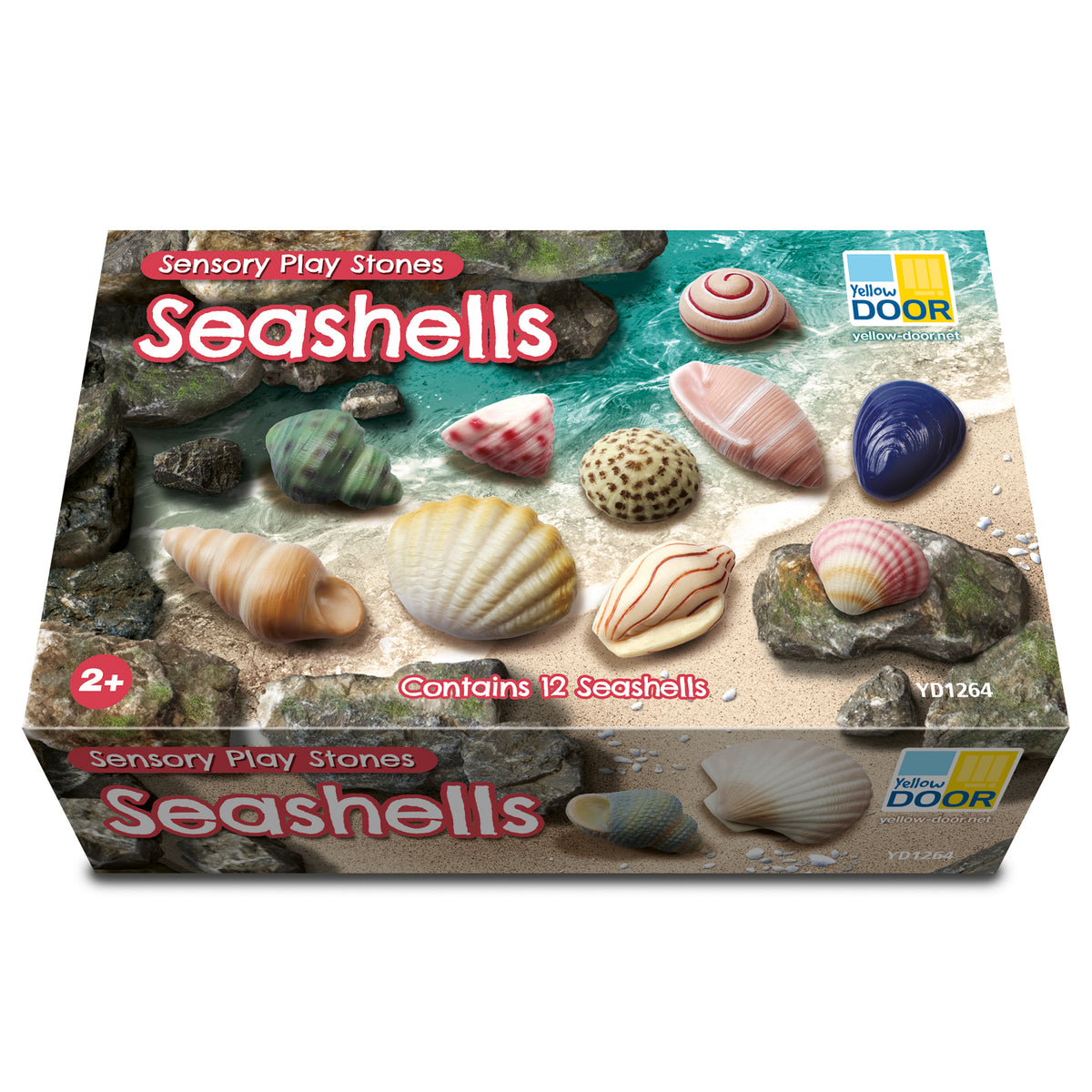 Sensory Play Stones Zeeschelpen