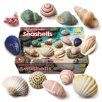 Sensory Play Stones Zeeschelpen