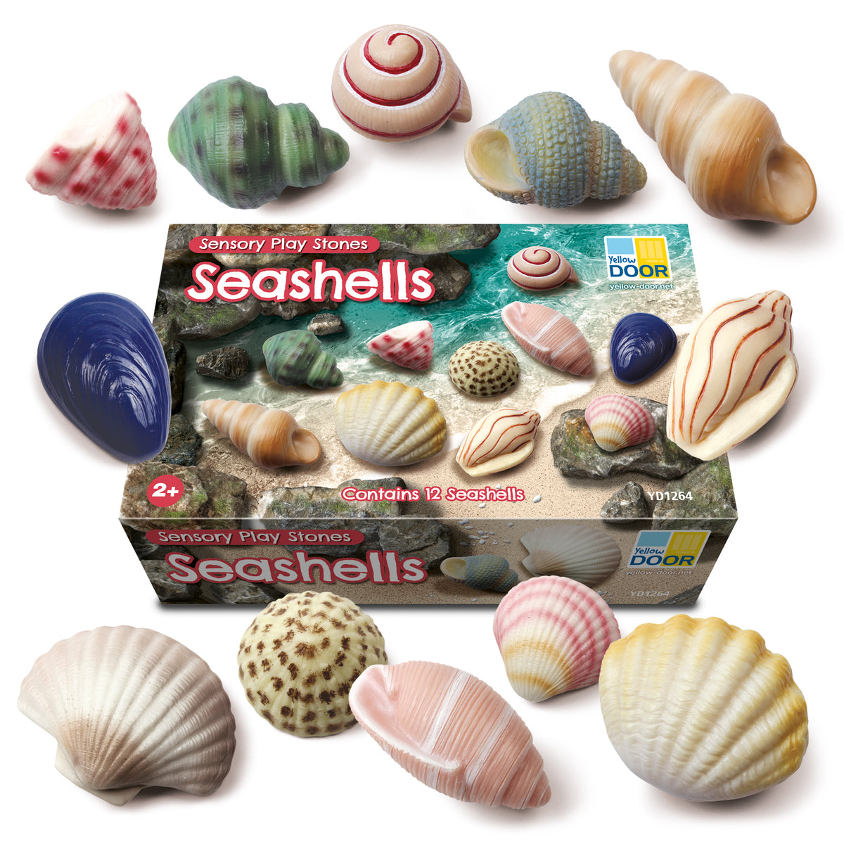 Sensory Play Stones Zeeschelpen