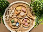 Sensory Play Stones Zeeschelpen
