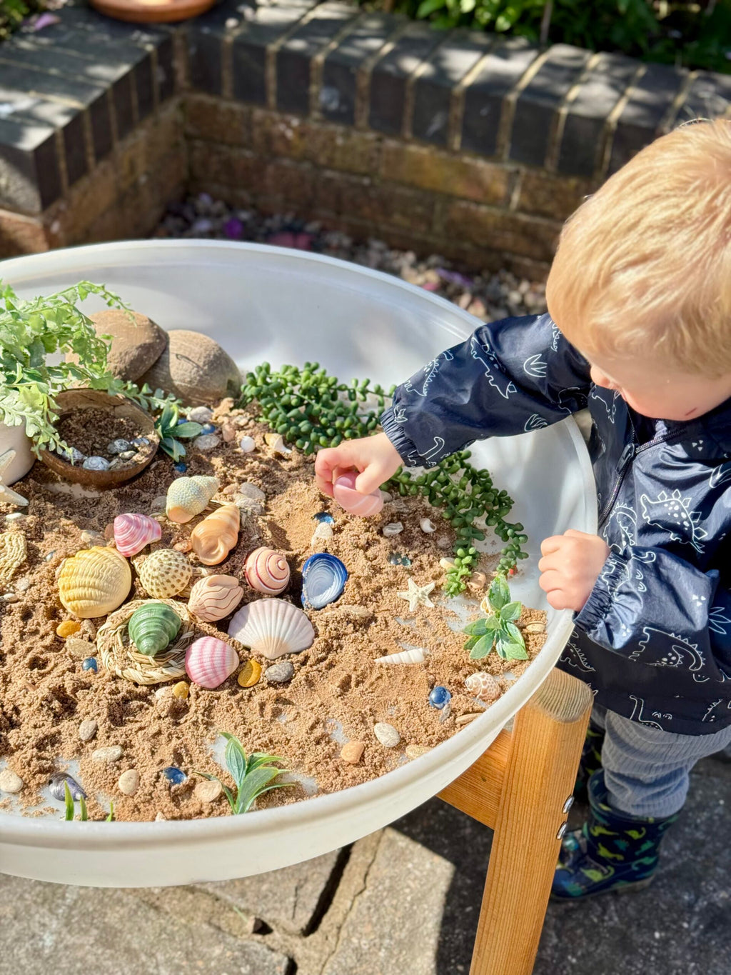 Sensory Play Stones Zeeschelpen