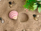 Sensory Play Stones Zeeschelpen