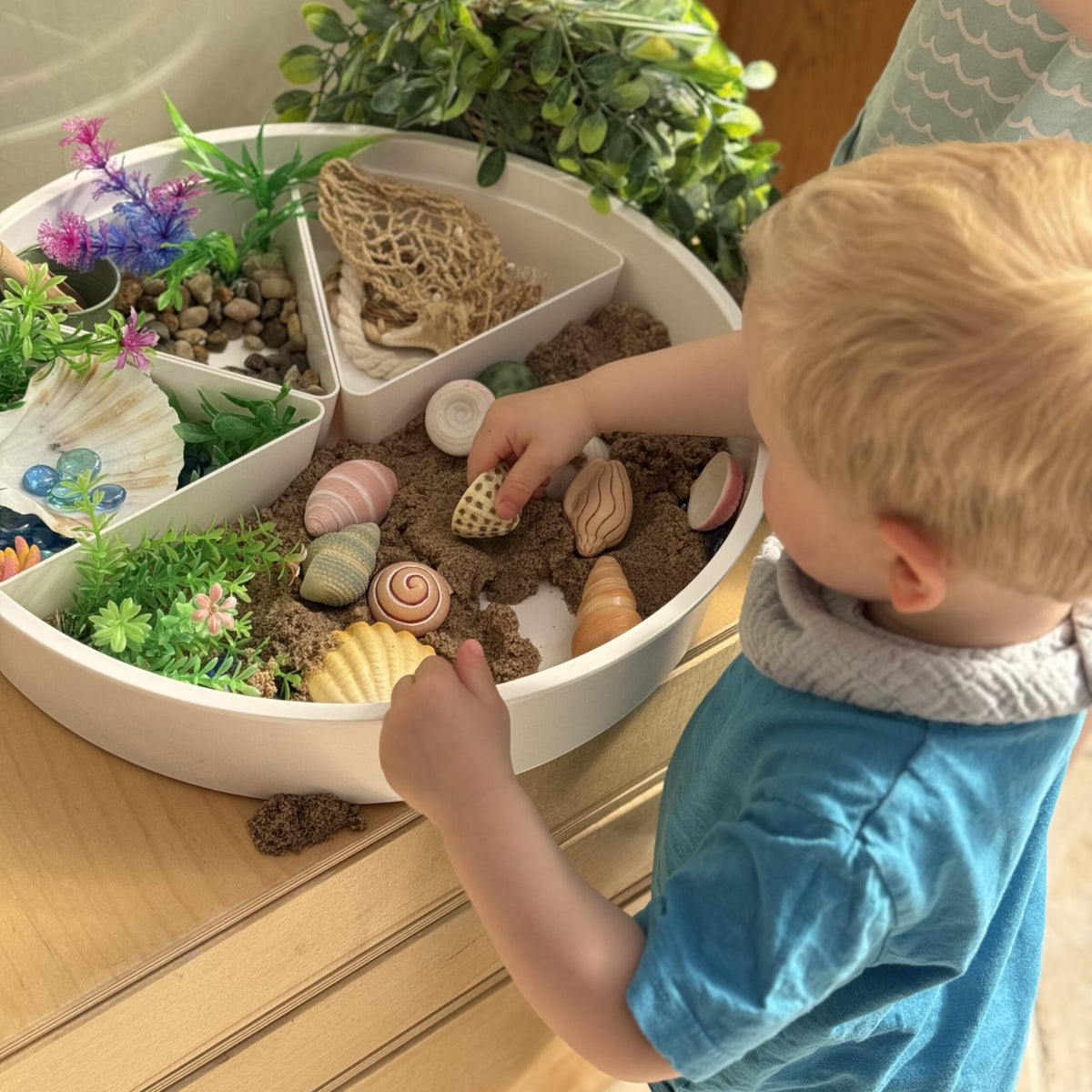 Sensory Play Stones Zeeschelpen