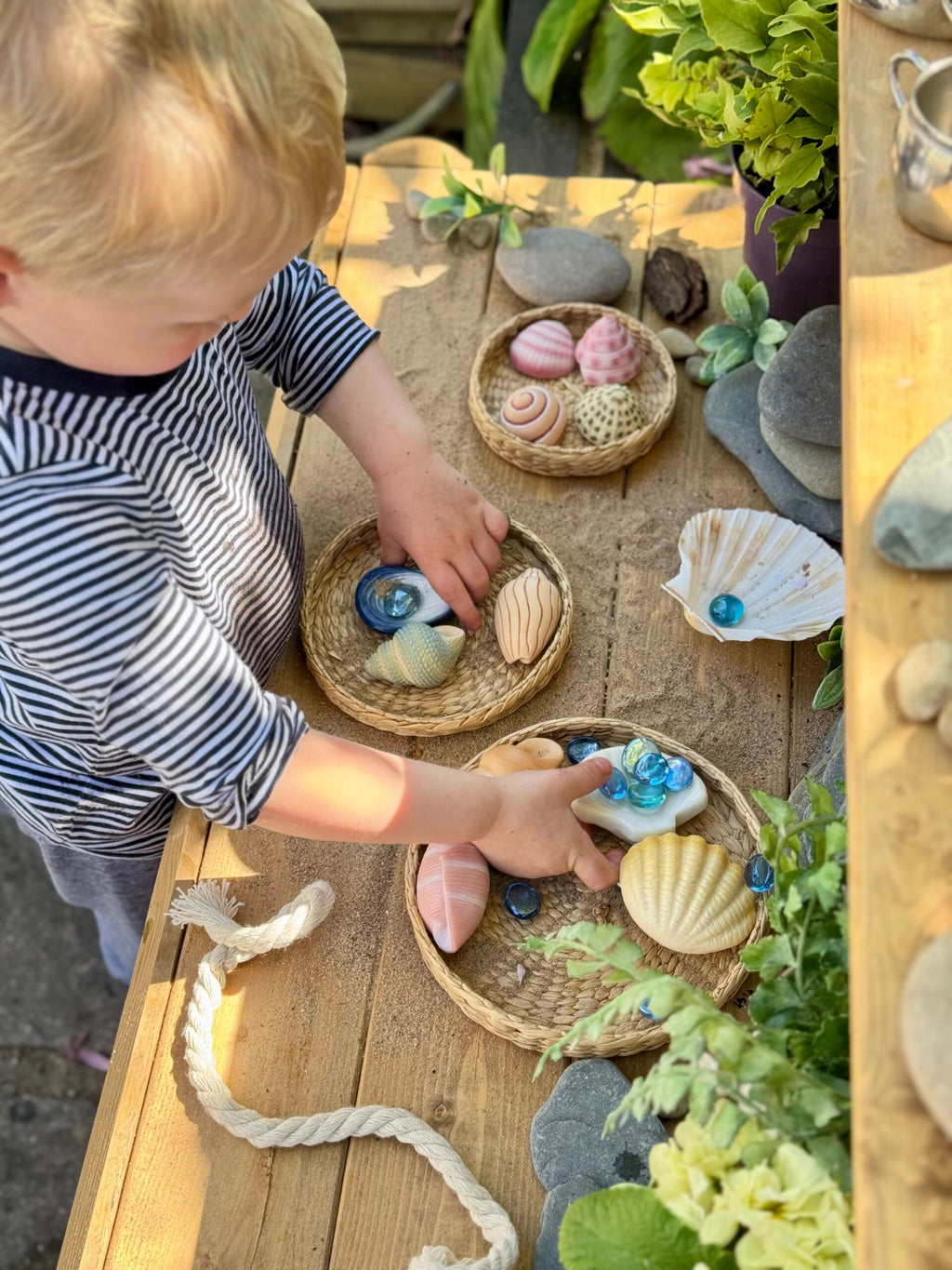 Sensory Play Stones Zeeschelpen