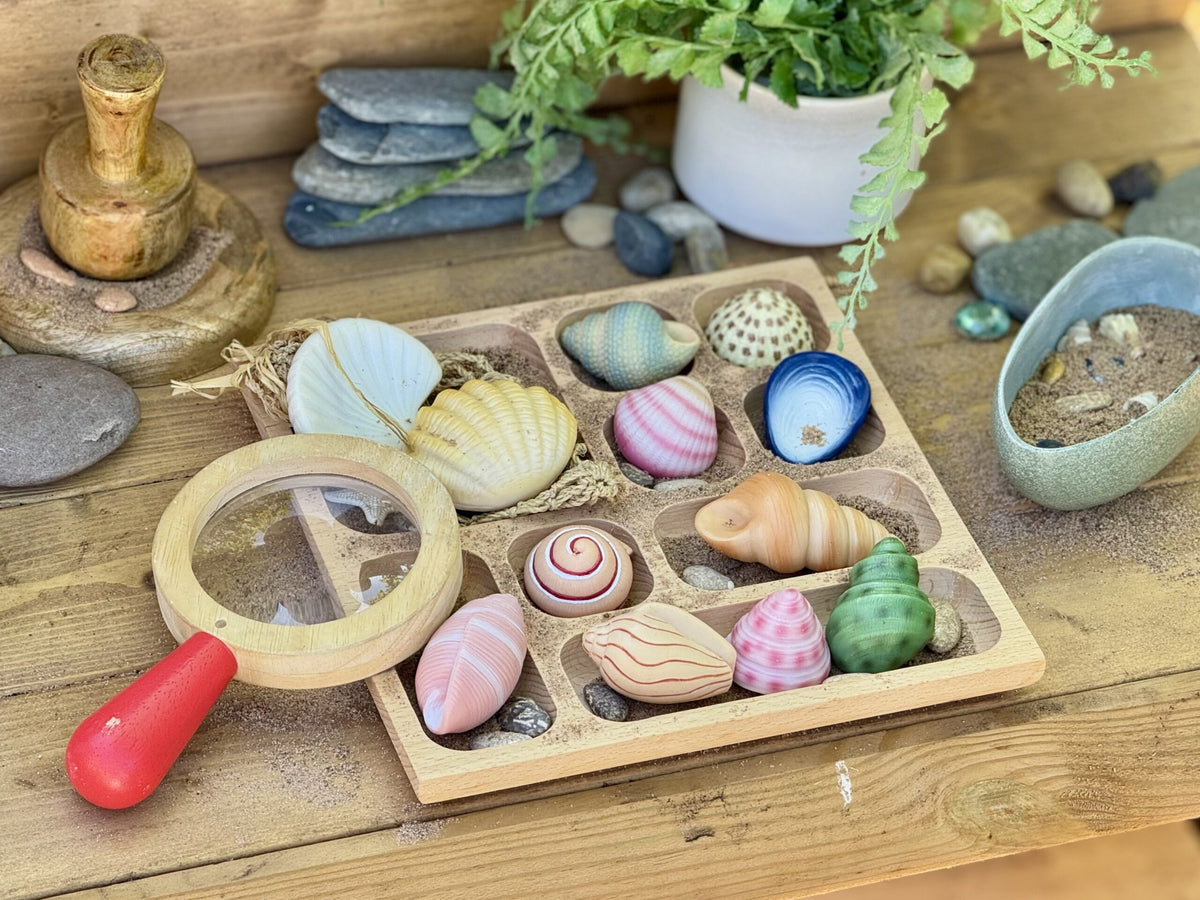 Sensory Play Stones Zeeschelpen
