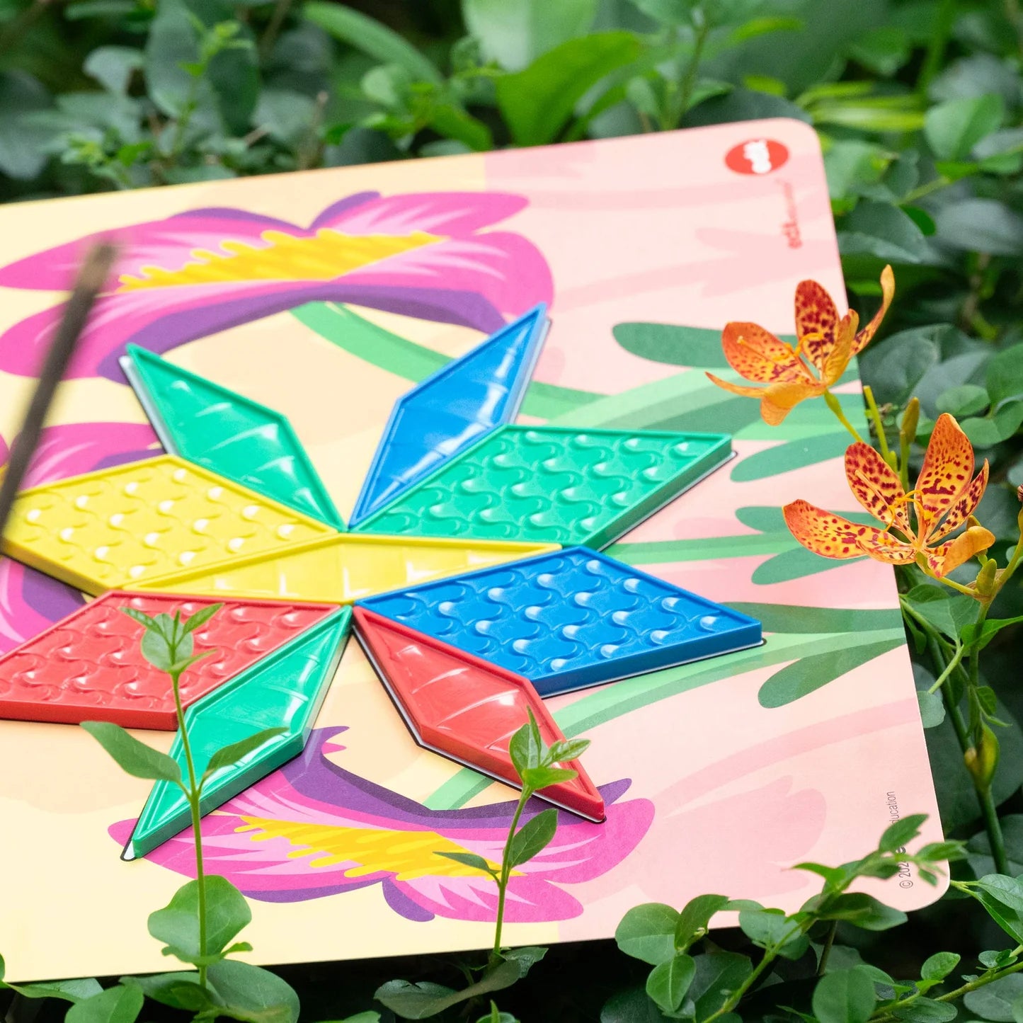 Green-n-Learn® Sensory pattern blocks