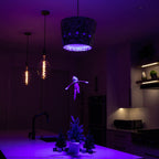 The Elf on the Shelf