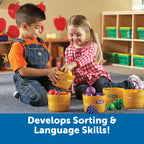 Farmer's Market Color Sorting Set