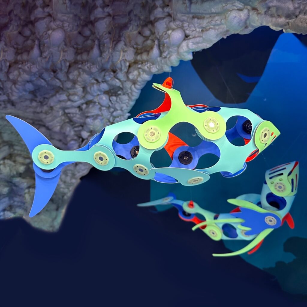 Ocean Creatures Adventure Pack