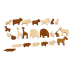 Noah's Ark