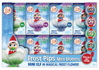 Frost Pip In Mini Bloem