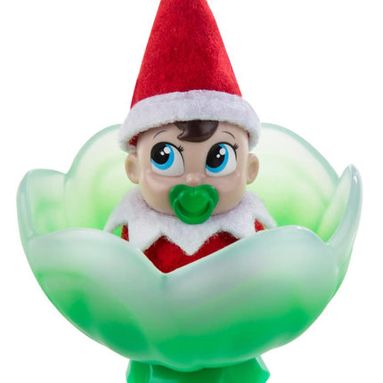 The Elf On The Shelf - Frost Pip In Mini Bloem