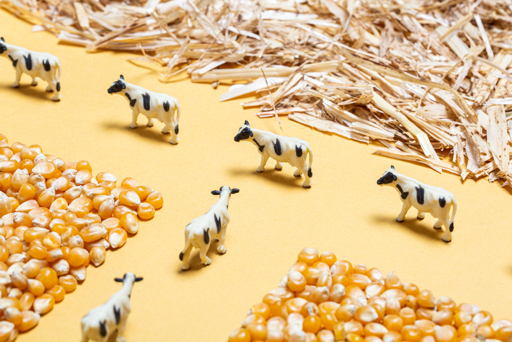 Spy Bottle * Boerderij