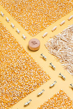 Spy Bottle * Boerderij