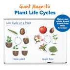 Gigantische magnetische plantenlevenscyclus