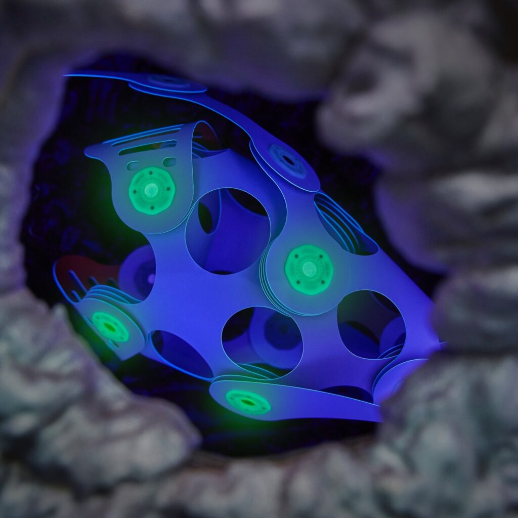 Ocean Creatures Adventure Pack