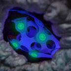 Ocean Creatures Adventure Pack