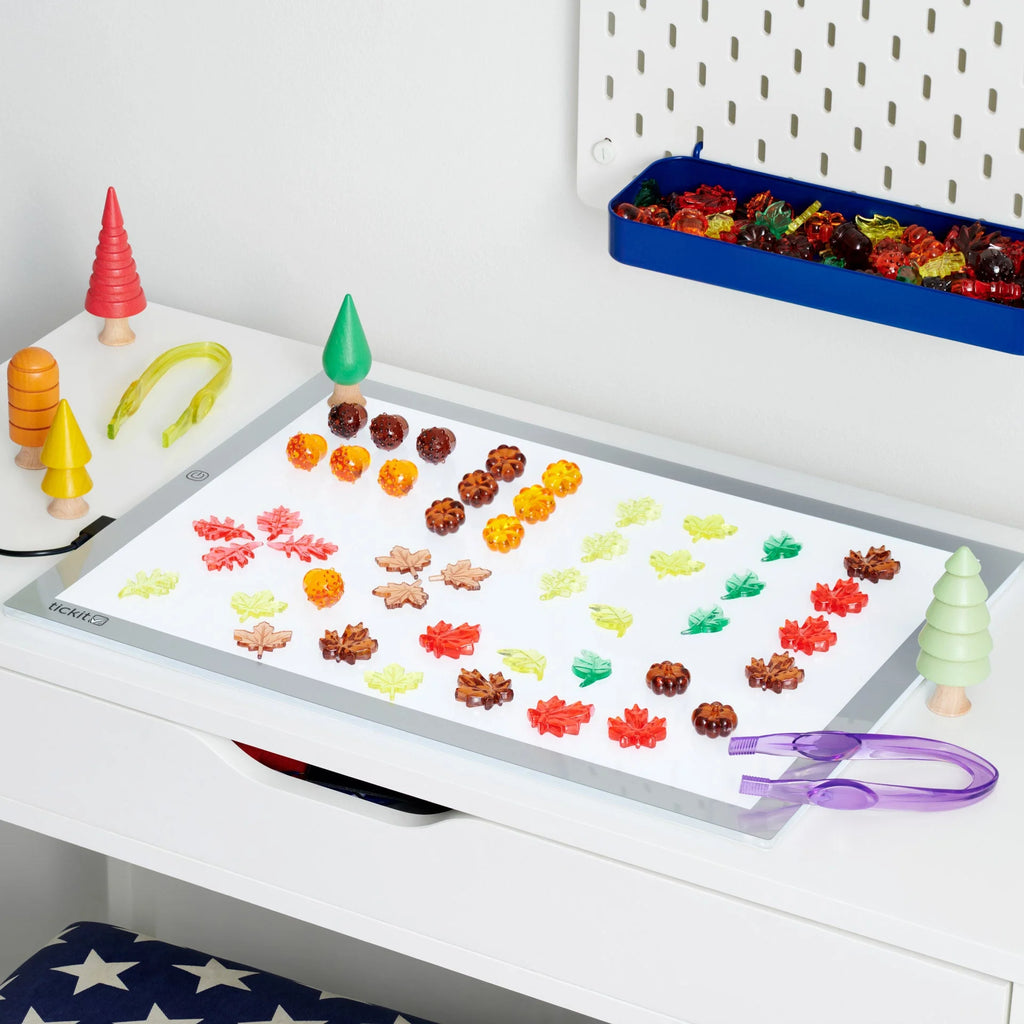 Translucent Colour Leaves & Seeds