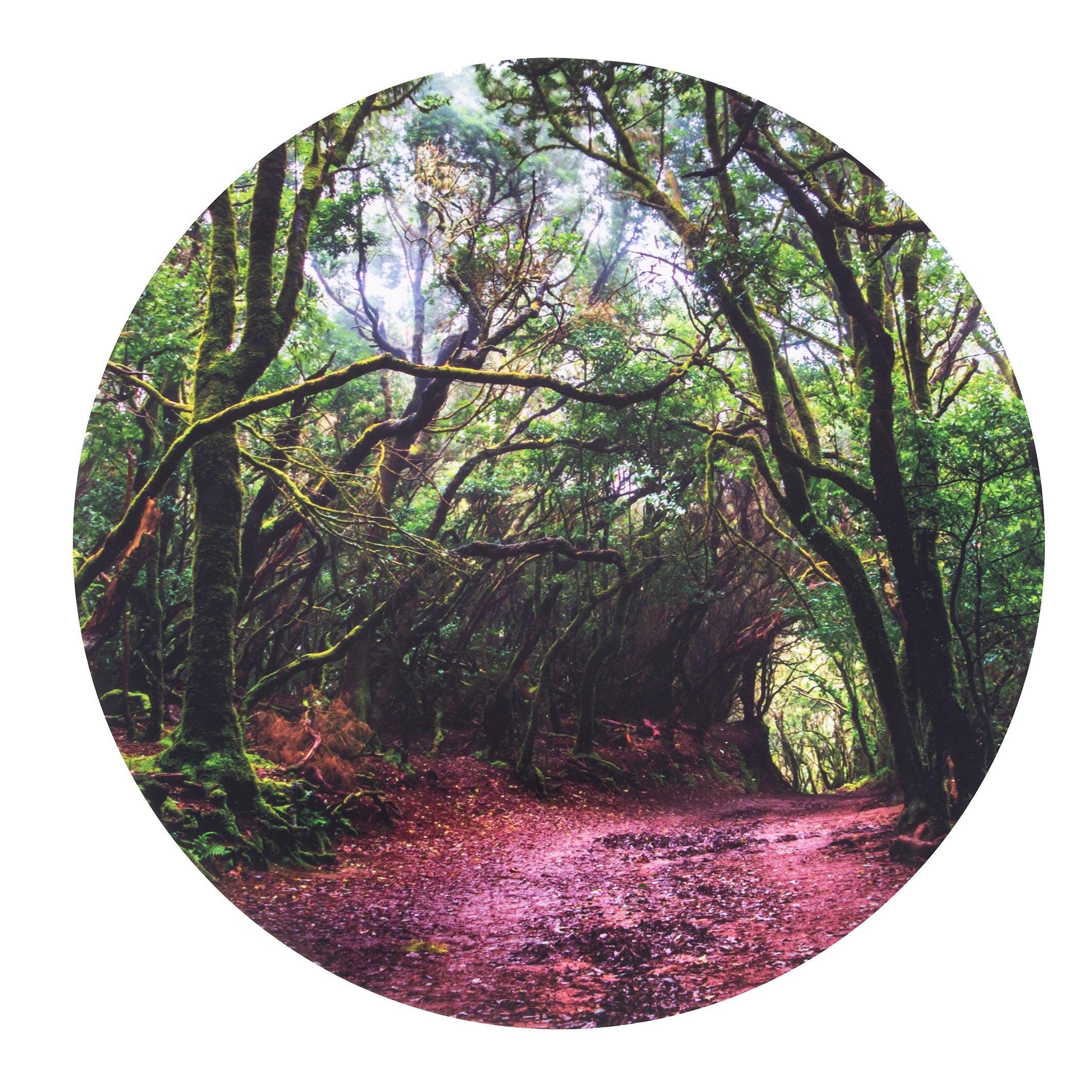 Tickit discovery speelmat in het bos