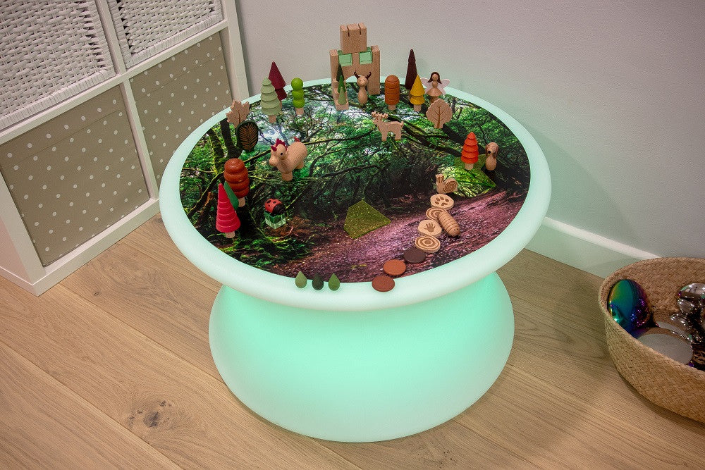 Tickit discovery speelmat in het bos