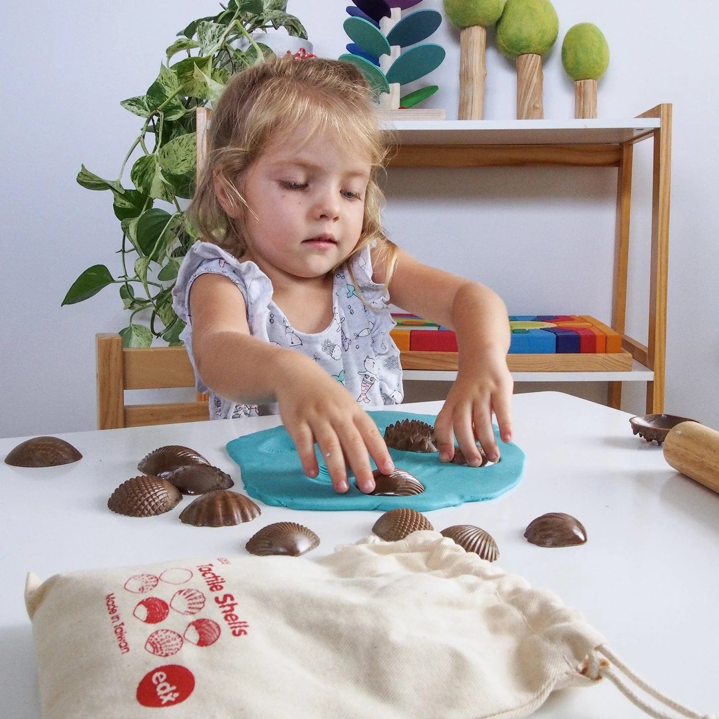 Green-n-Learn® Sensory Shells