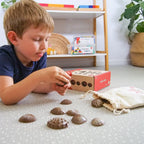 Green-n-Learn® Sensory Shells