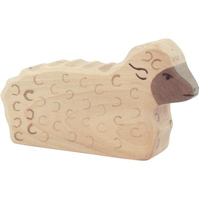 Schaap liggend