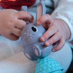 Educatieve kralen in thema boerderij