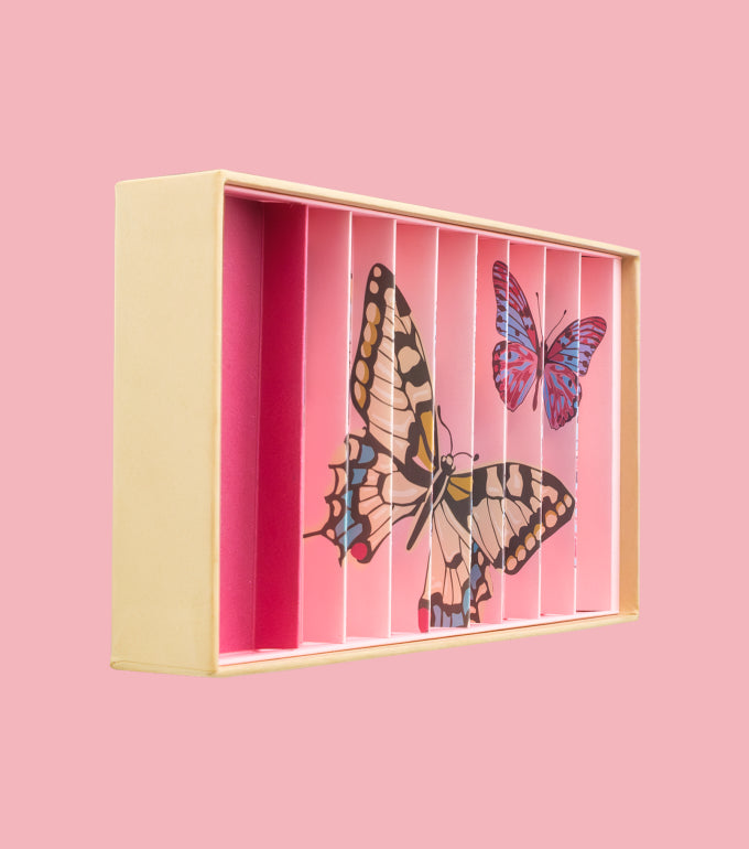 Butterfly Anamorphic Box