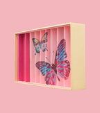 Butterfly Anamorphic Box