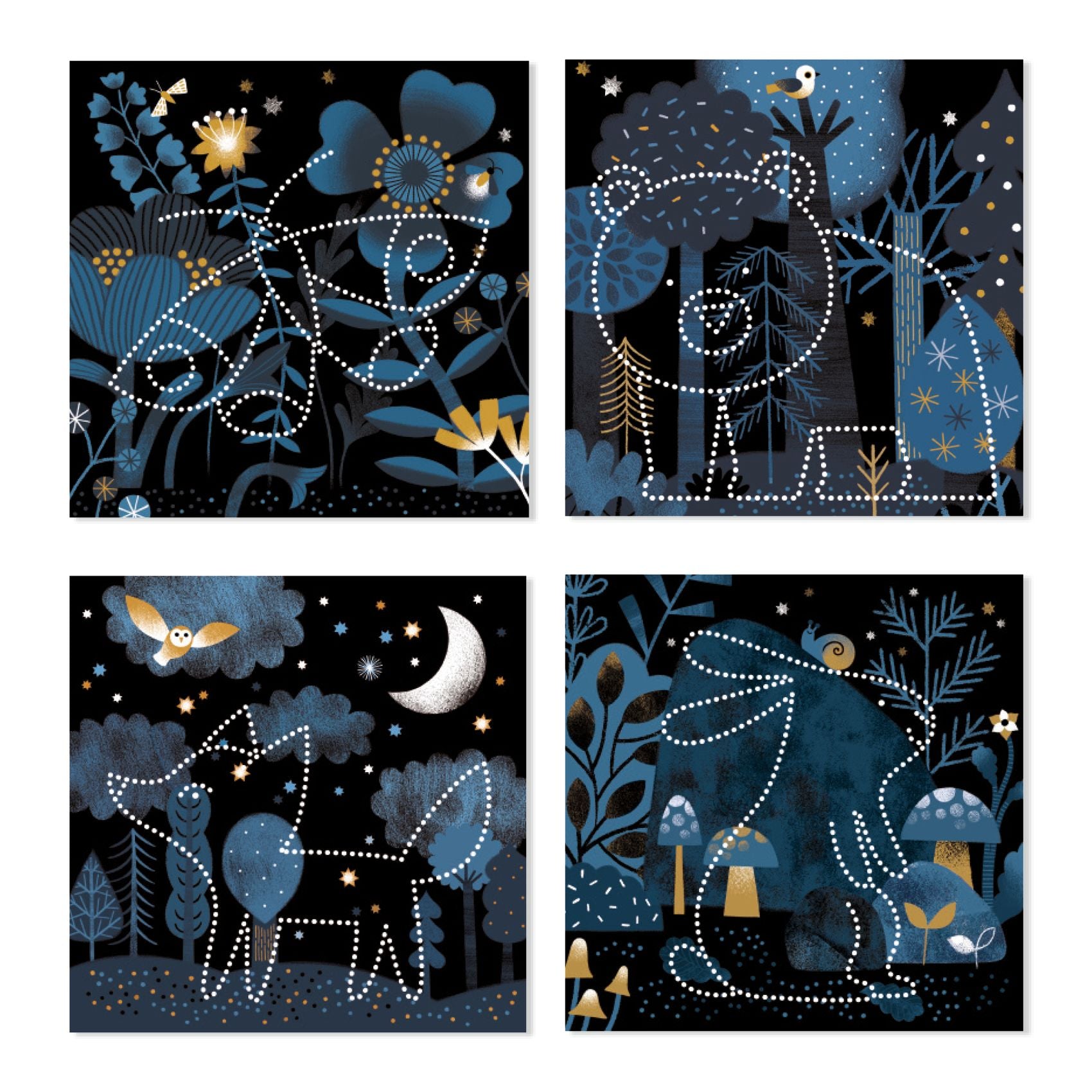 Nachtdieren om te ontdekken