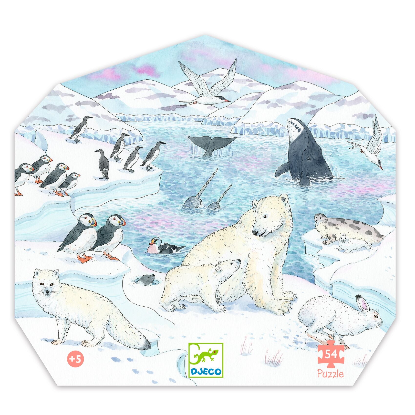 Douceur polaire - 54 pcs