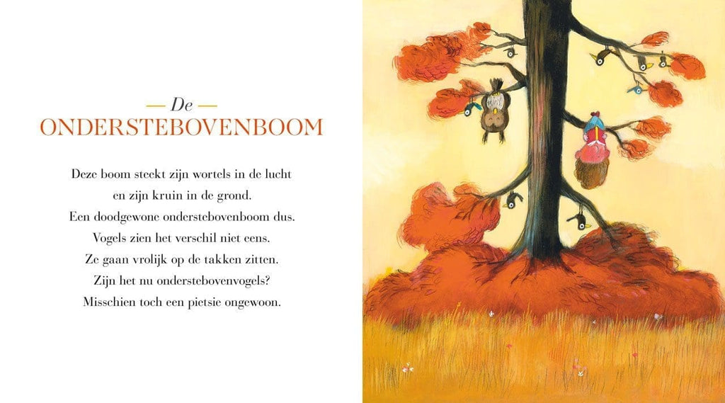 Het fantastische bomen- en plantenboek van Olivier Tallec