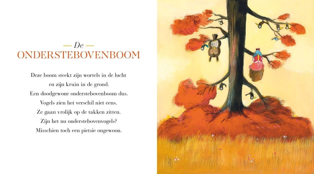 Het fantastische bomen- en plantenboek van Olivier Tallec