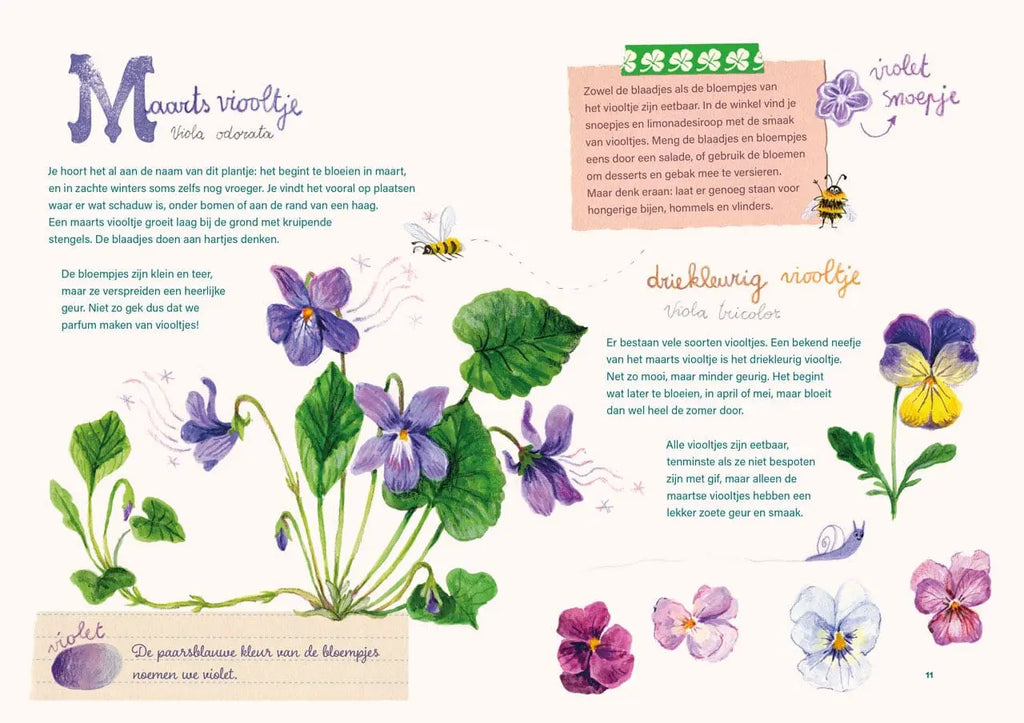Het grote bloemenboek