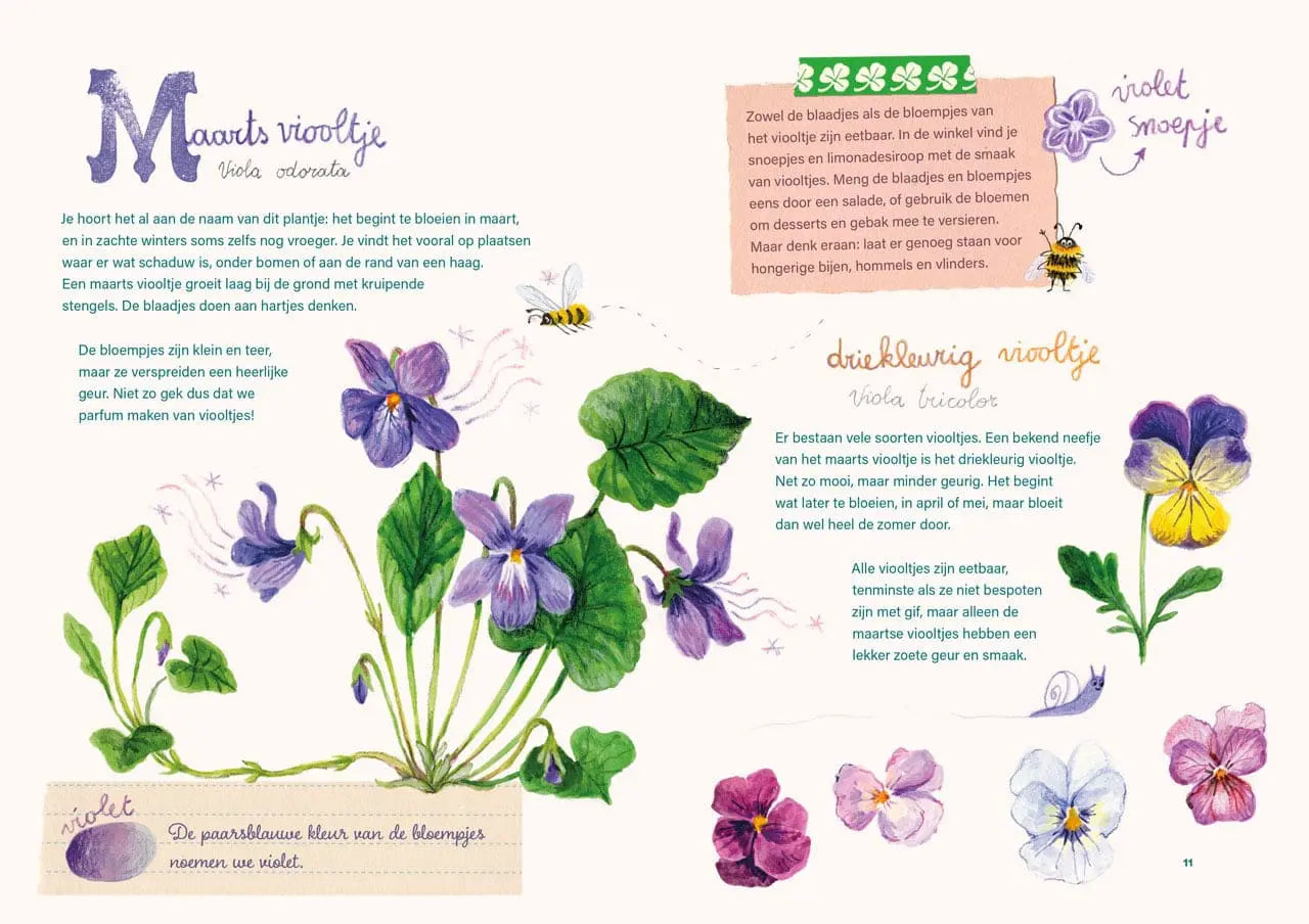 Het grote bloemenboek