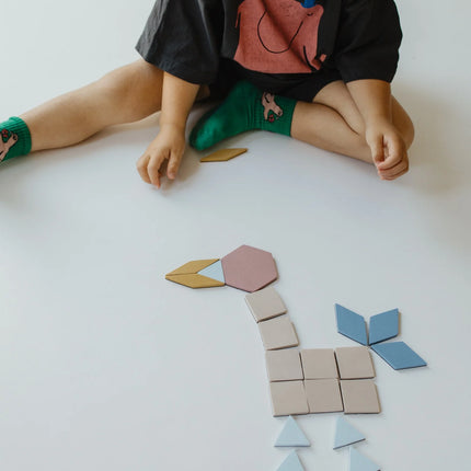 Moes Play Magnetic Puzzle