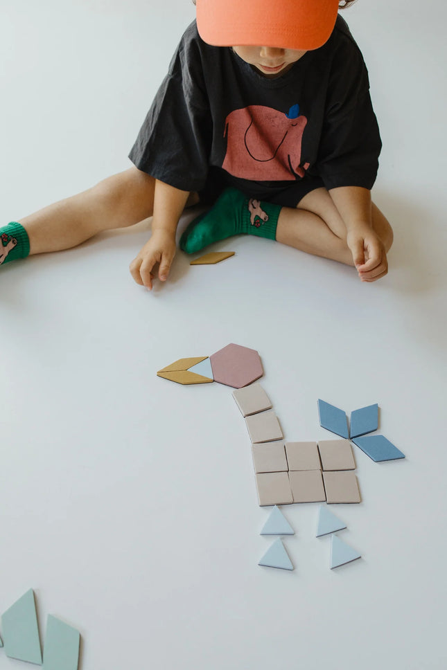 Moes Play Magnetic Puzzle