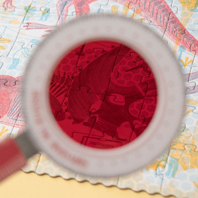 Puzzel - Discover the dinosaurs