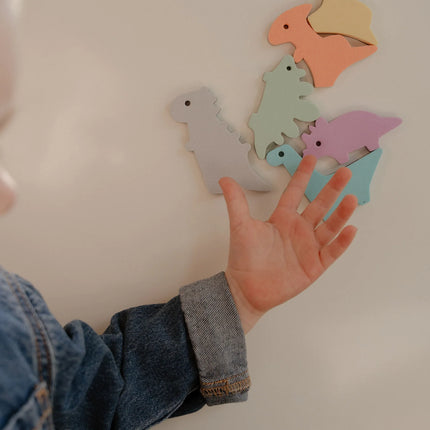 Moes Play Magnetic Dinosaurs 