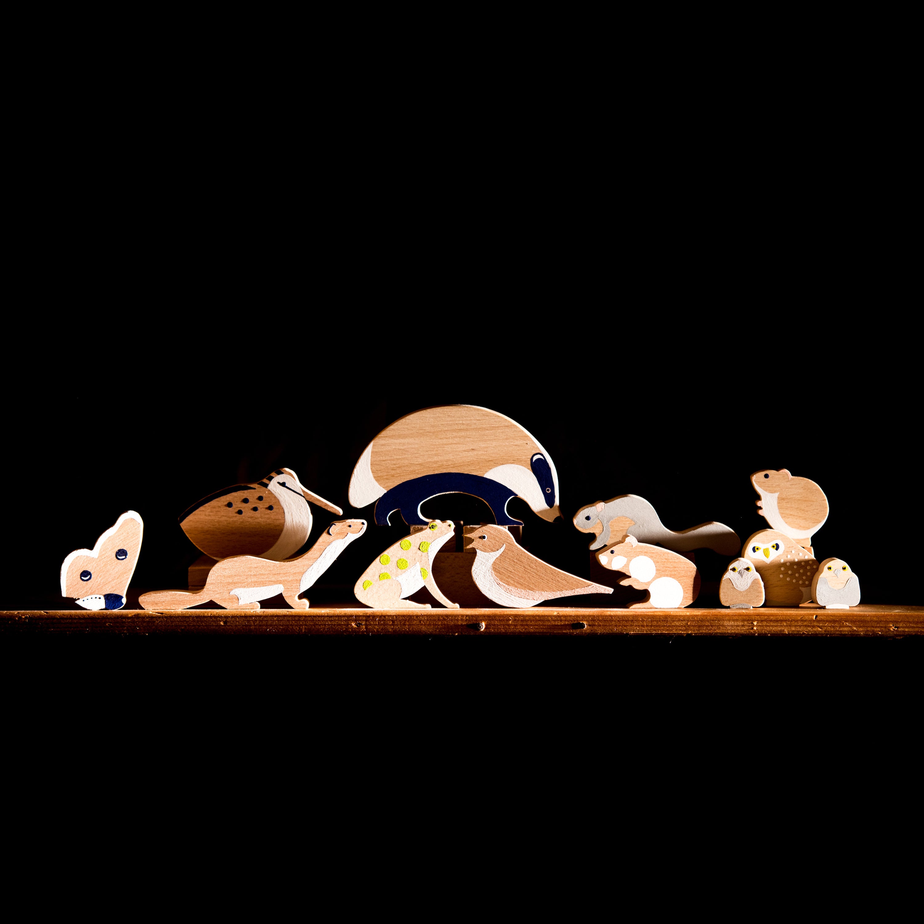 Verzameling nachtdieren